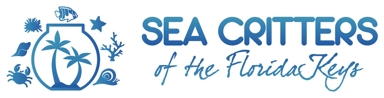 Logo Sea Critters of Florida Keys